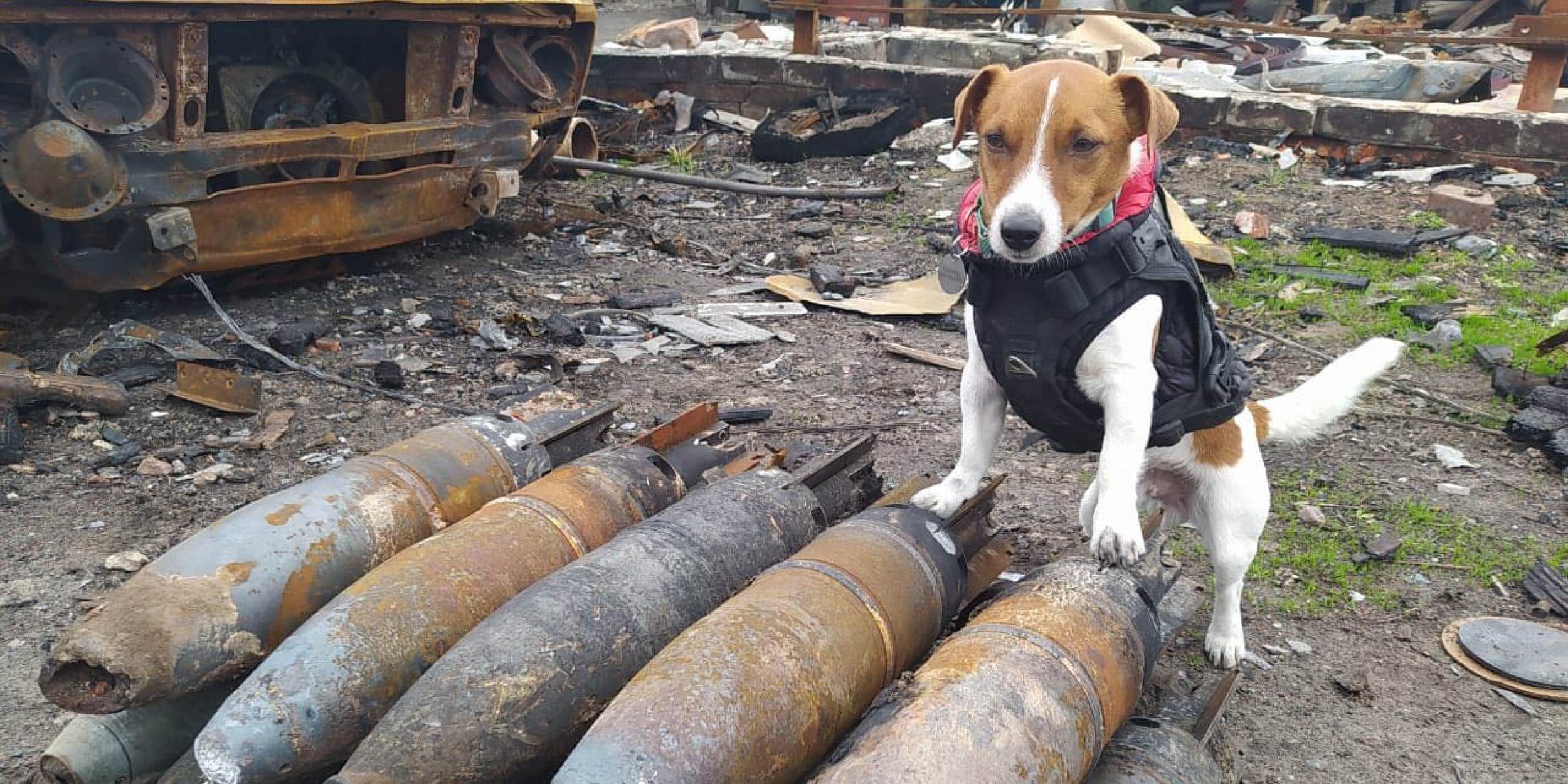 Ukraine Patron is a mine sweeper