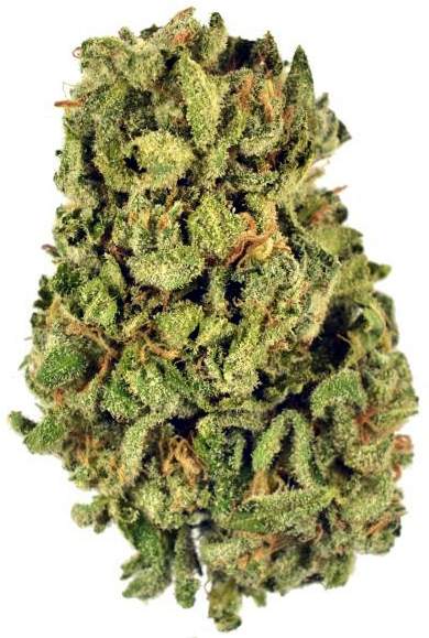 cannabis flower sungrown